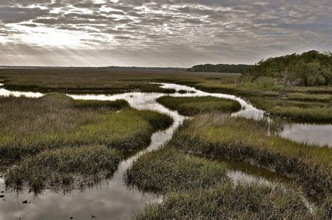 gtm research reserve|guana tolomato matanzas national estuarine research reserve.